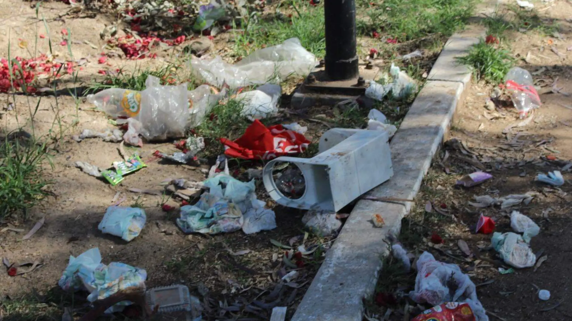 basura parque camellon via publica 3